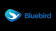 PT Central Naga Europindo (Bluebird BSD Group)